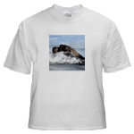 Baby Seal Watercolor White T-Shirt by NANCE